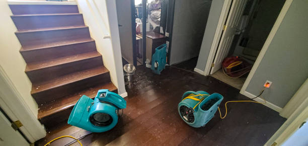 Best Carpet water damage restoration  in Eutaw, AL