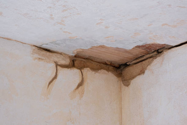 Best Water damage contractors near me  in Eutaw, AL