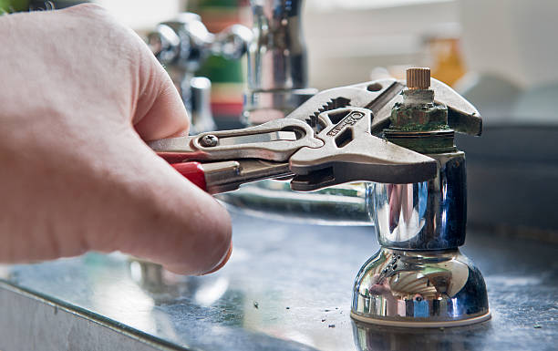 Best Water damage repair service  in Eutaw, AL