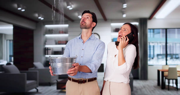 Best Mold removal after water damage  in Eutaw, AL